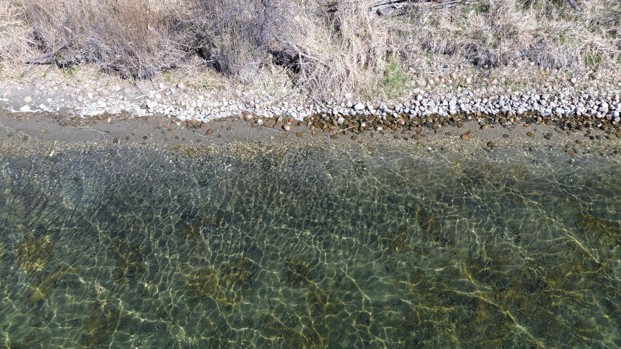 SHORELINE 3.JPG