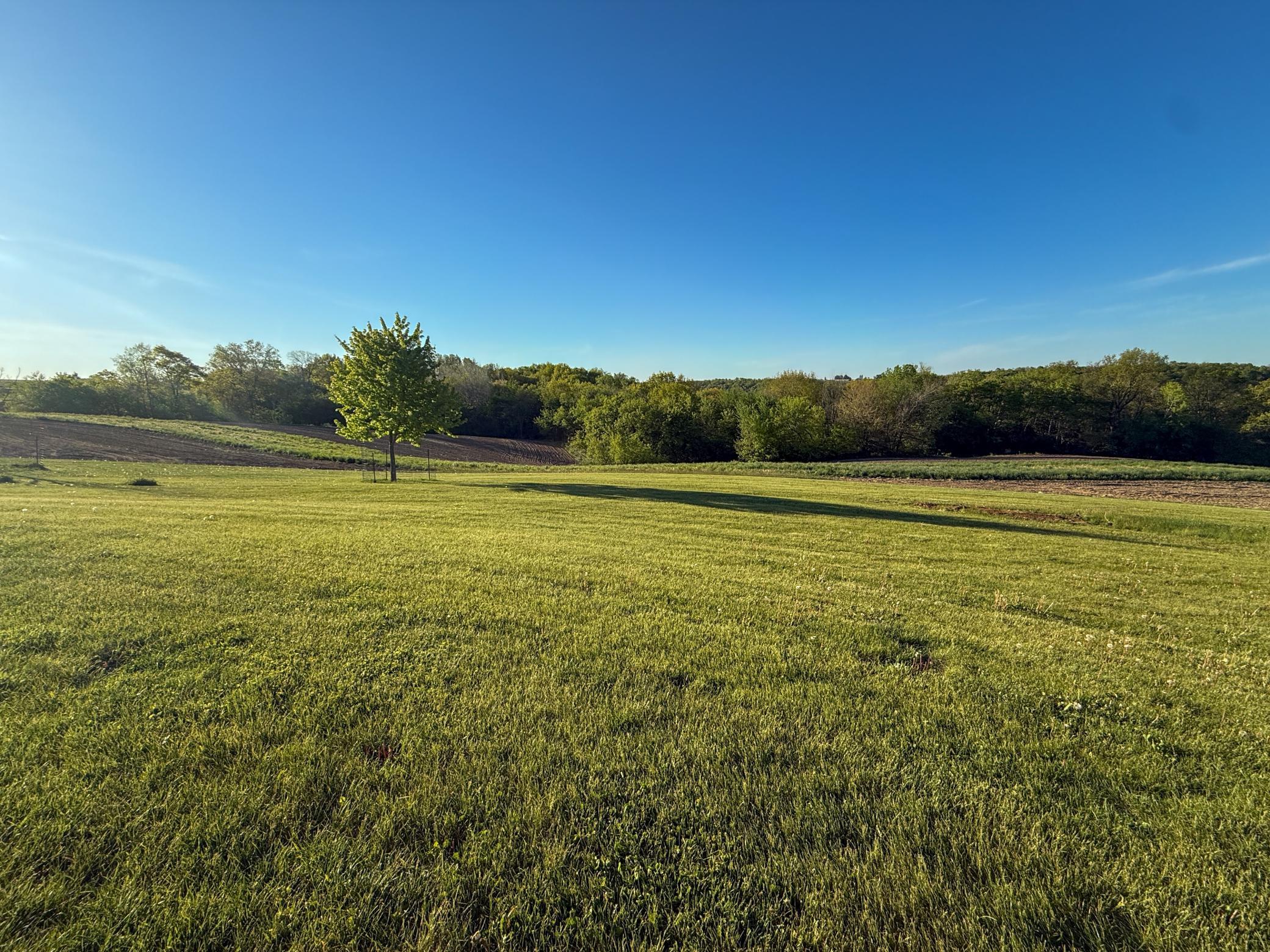 Houston 40ac Mueller-74.jpeg