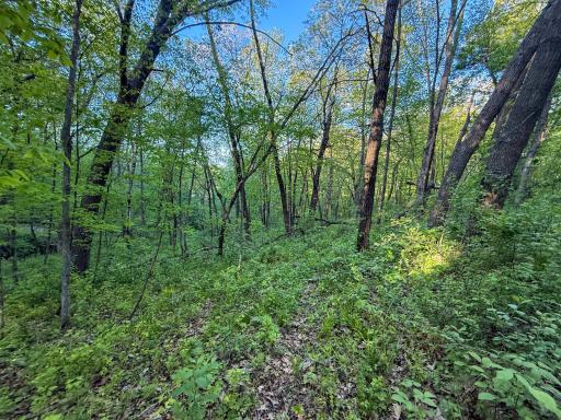 19807 Balentine Road, Caledonia, MN 55921