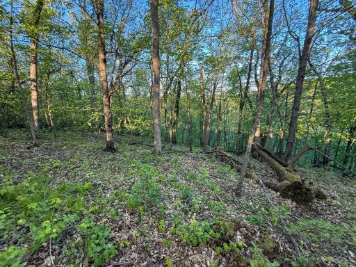 19807 Balentine Road, Caledonia, MN 55921