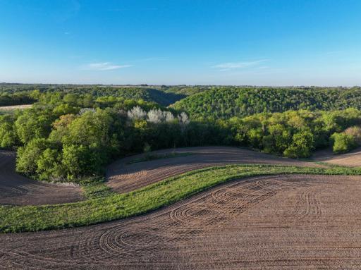 19807 Balentine Road, Caledonia, MN 55921