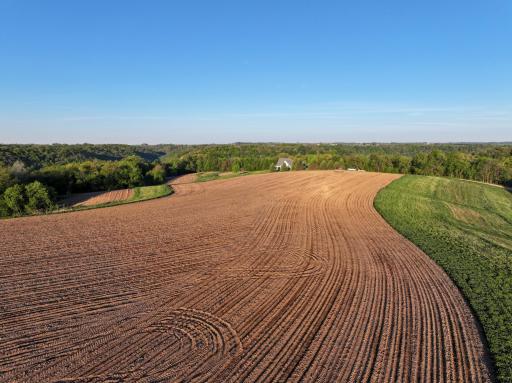19807 Balentine Road, Caledonia, MN 55921
