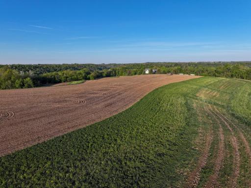 19807 Balentine Road, Caledonia, MN 55921