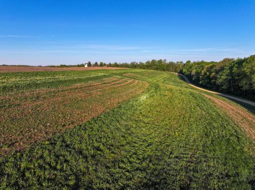 19807 Balentine Road, Caledonia, MN 55921