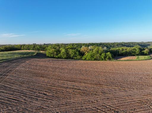 19807 Balentine Road, Caledonia, MN 55921