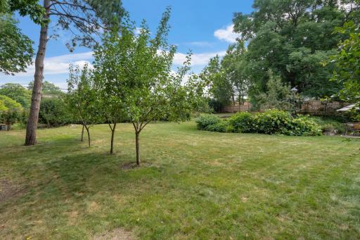Another look at the spacious and private backyard, offering plenty of room to relax and enjoy the outdoors.