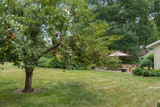 The backyard offers a private outdoor oasis complete with mature apple trees and lush landscaping.
