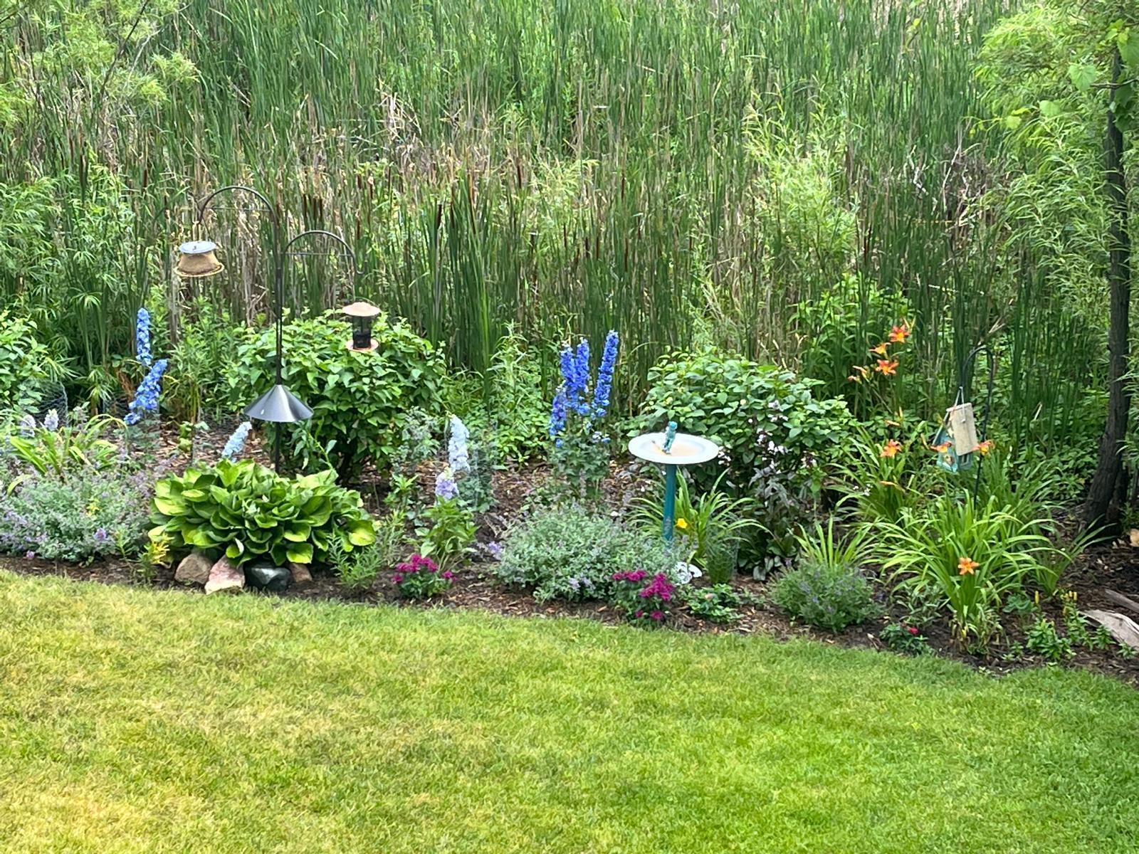 Photo 5