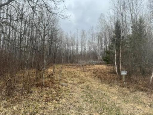 XXX Frazer Road, Deer River, MN 56631