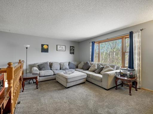 2695 196th Avenue NE, Cedar, MN 55011