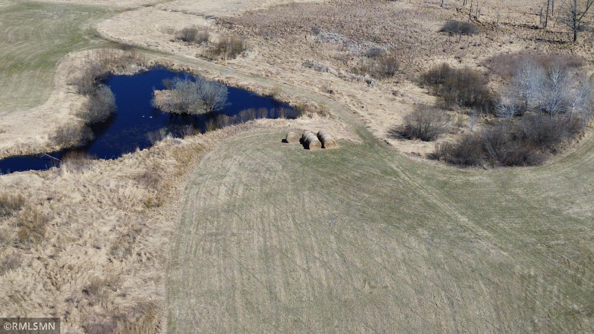 Black Bear Ranch - 34.jpeg