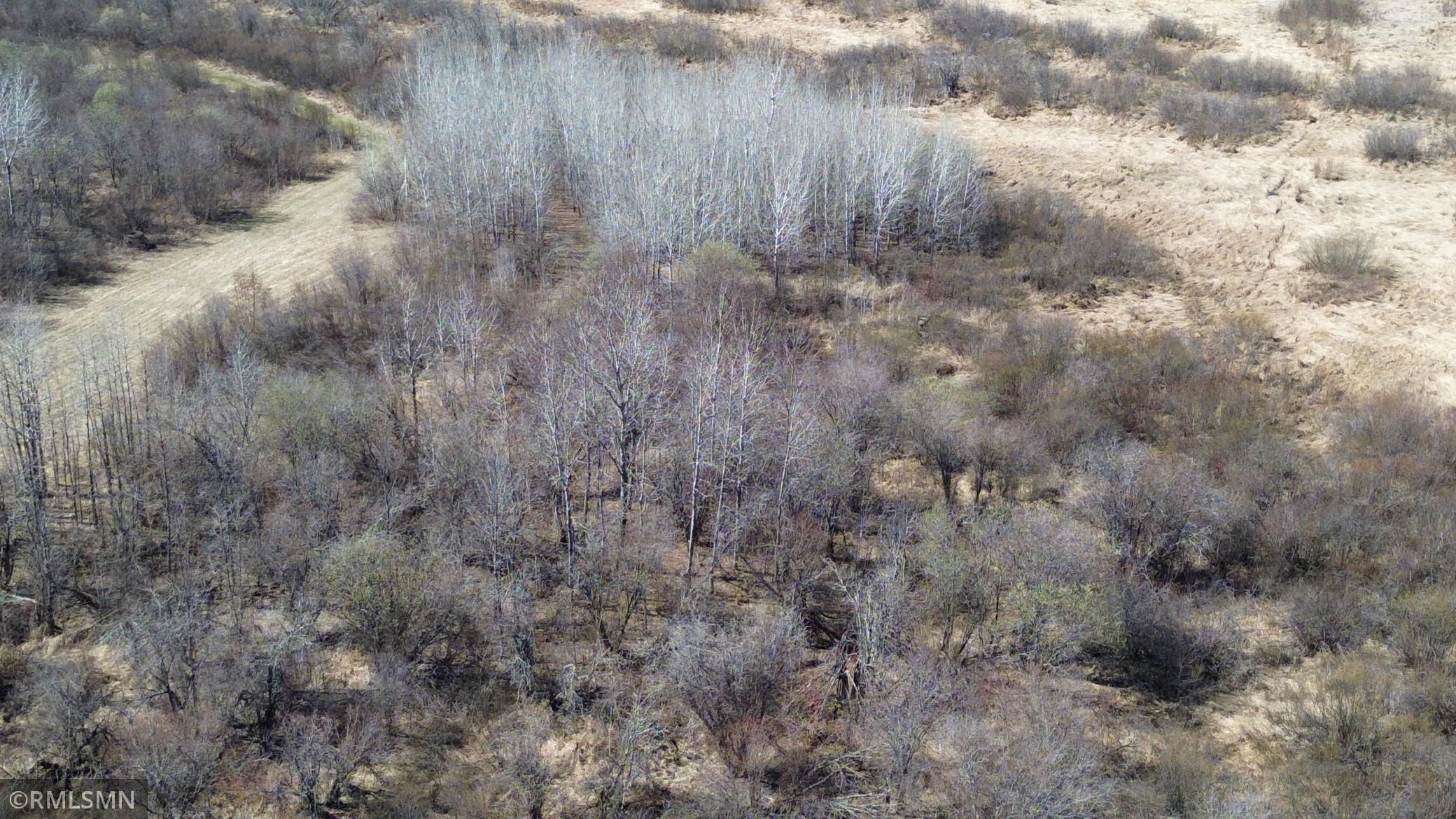 Black Bear Ranch - 37.jpeg