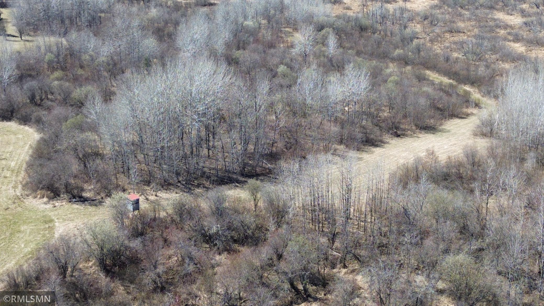 Black Bear Ranch - 39.jpeg