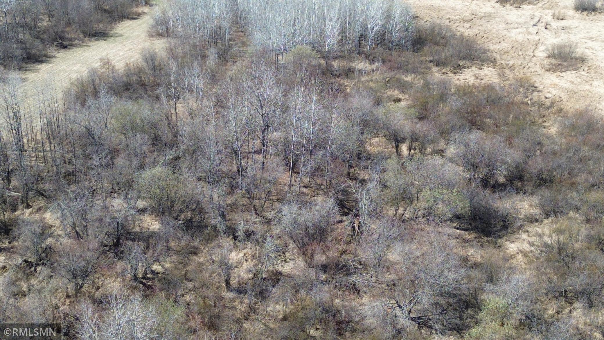Black Bear Ranch - 36.jpeg
