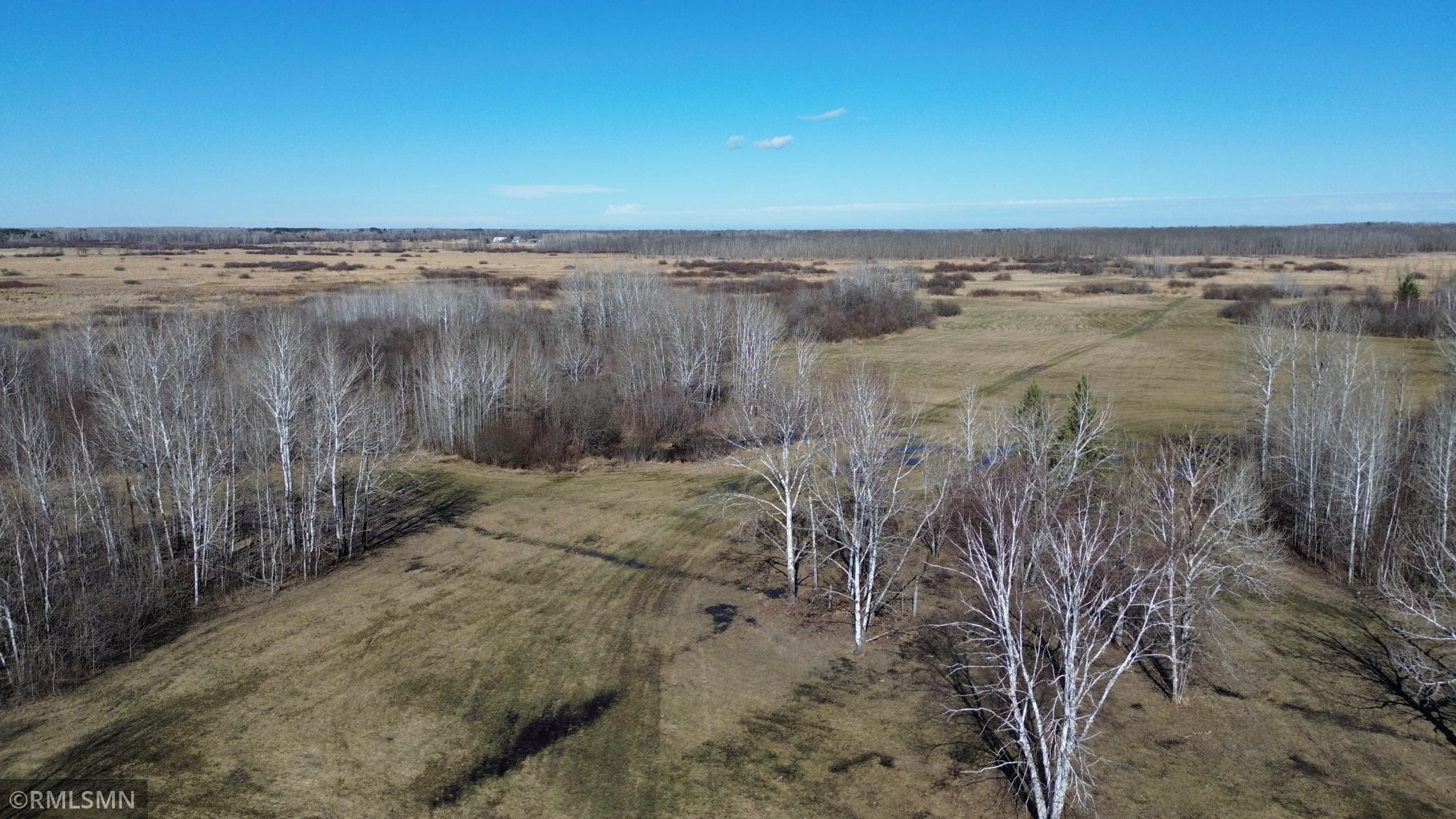 Black Bear Ranch - 2.jpeg