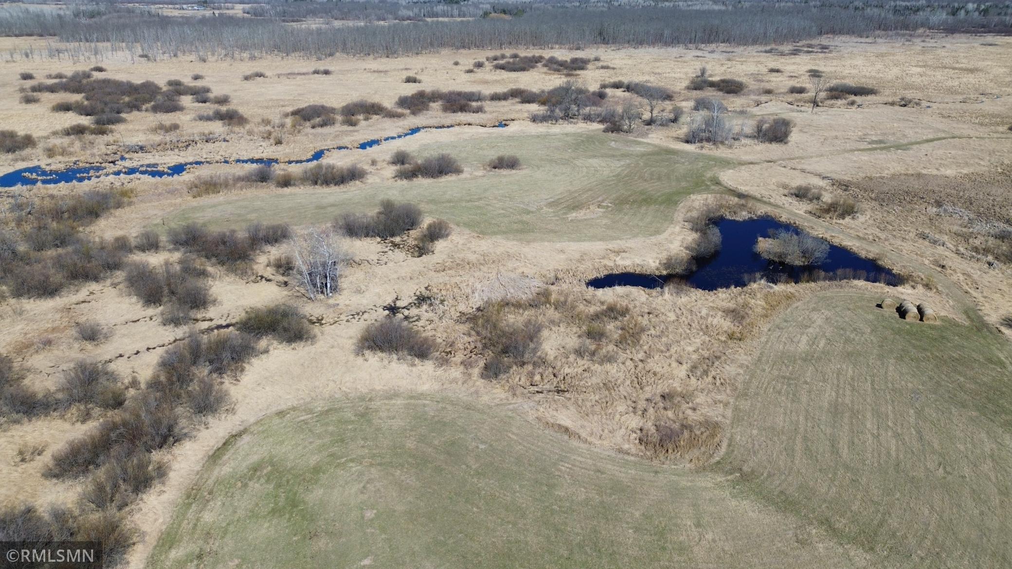 Black Bear Ranch - 33.jpeg