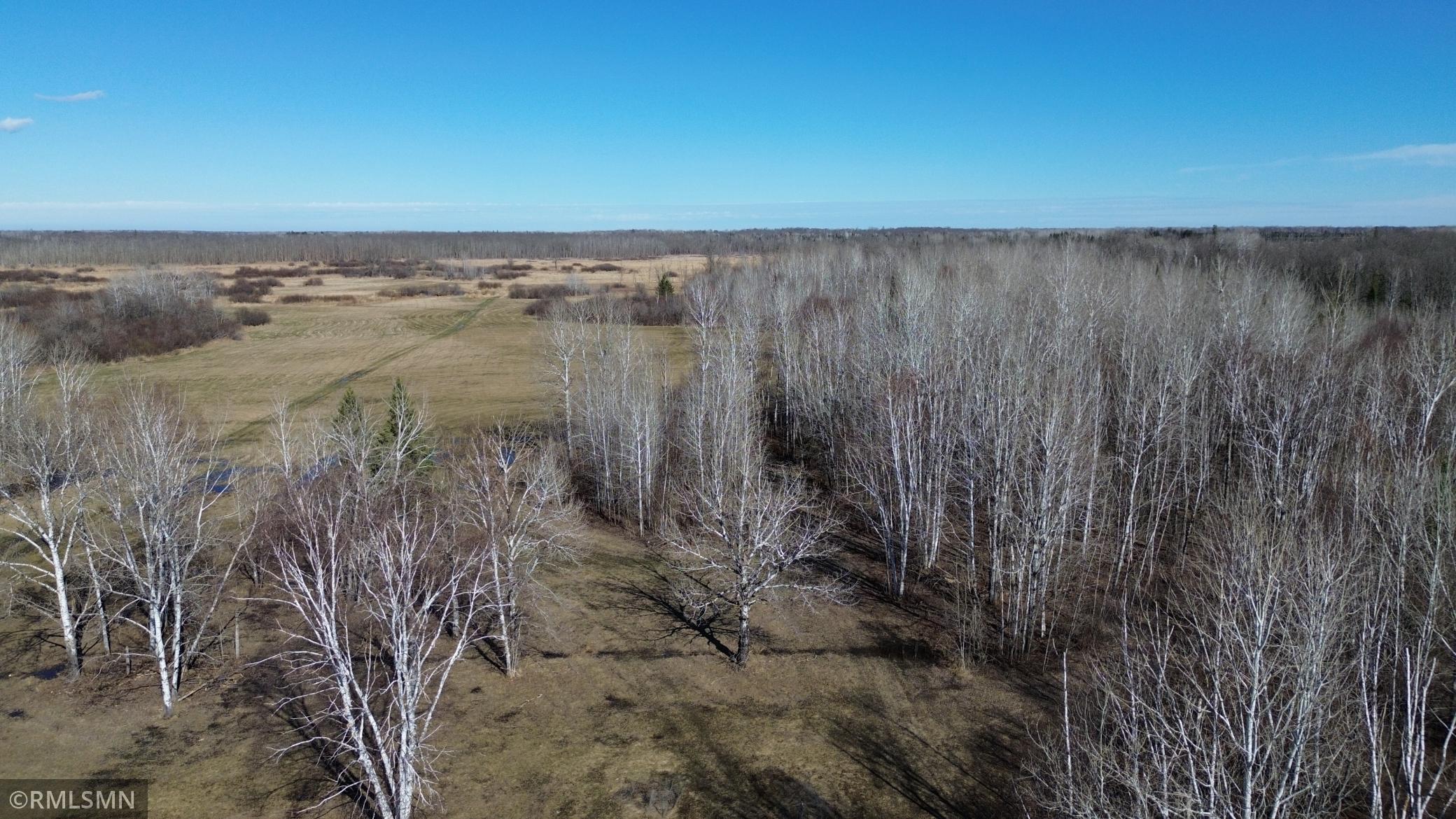 Black Bear Ranch - 3.jpeg