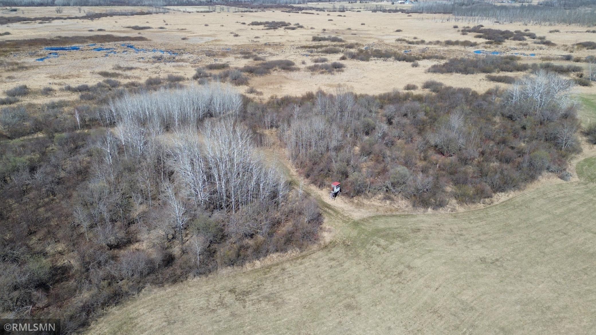 Black Bear Ranch - 32.jpeg