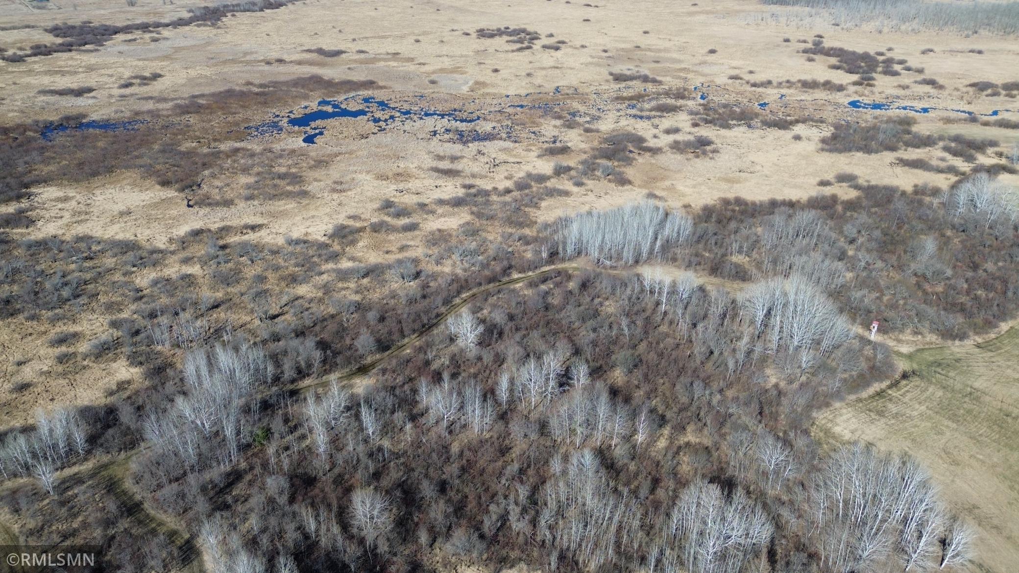 Black Bear Ranch - 15.jpeg