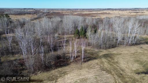 41254 155th Place, Mcgregor, MN 55760