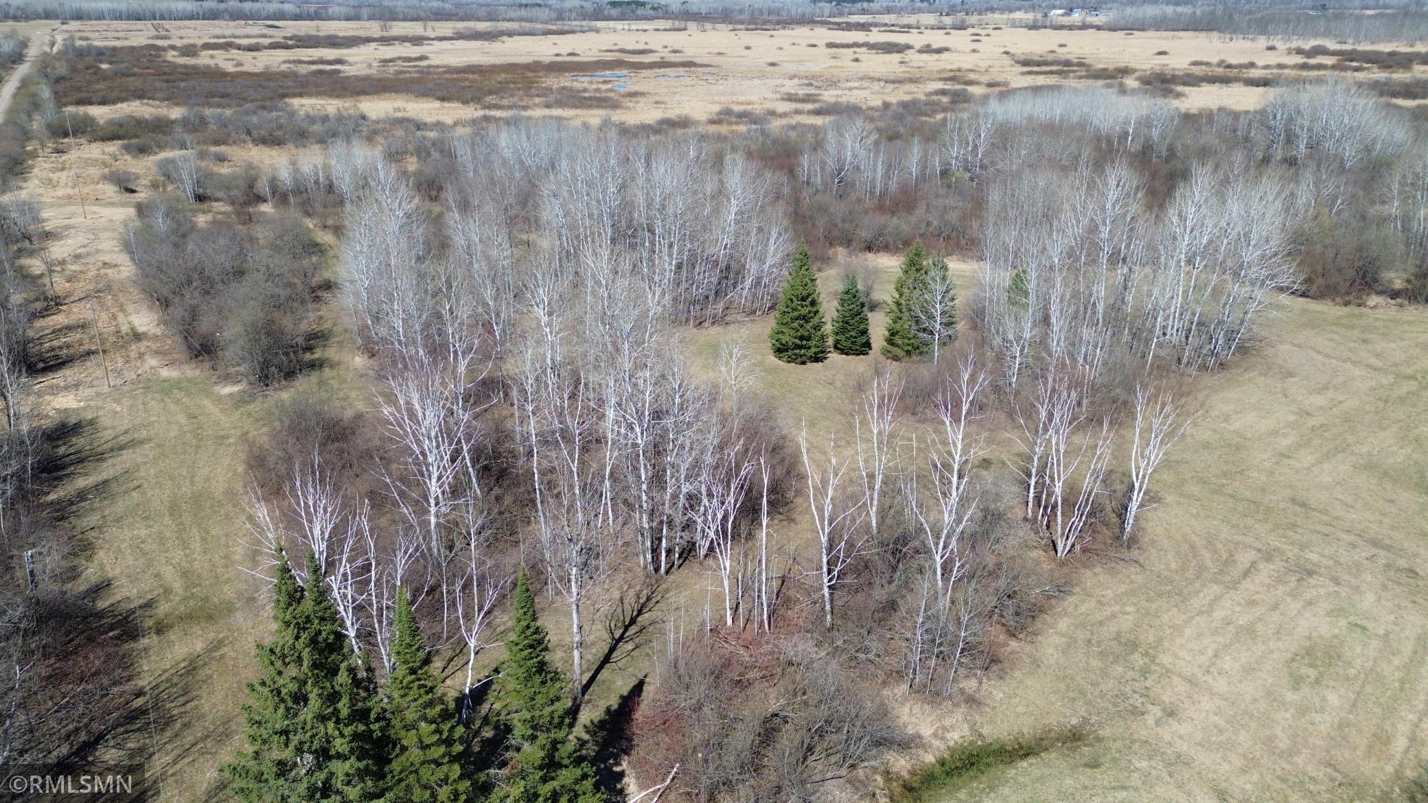 Black Bear Ranch - 28.jpeg
