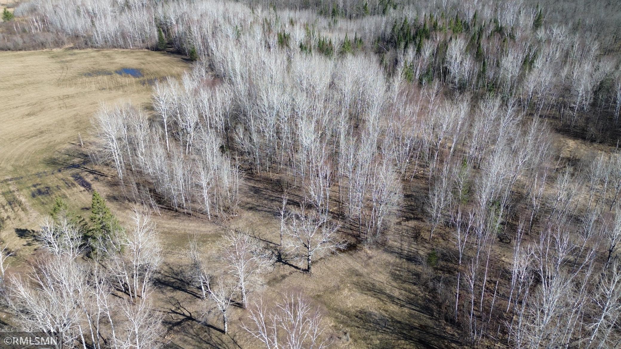 Black Bear Ranch - 9.jpeg