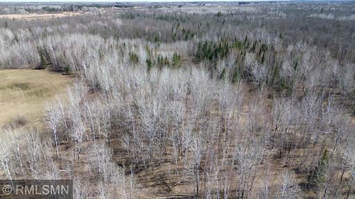 41254 155th Place, Mcgregor, MN 55760