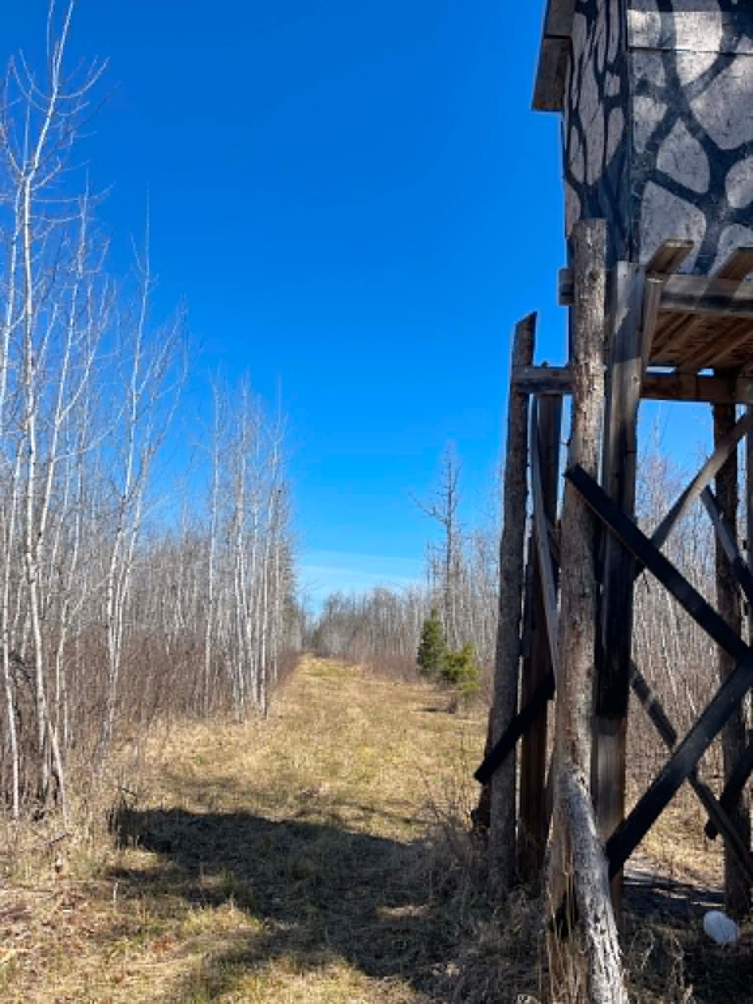 Deer stand on the way to NW corner, not on subject property, just for reference.
