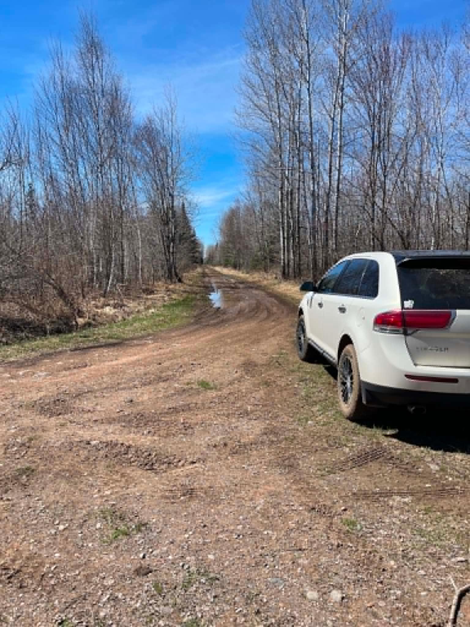 Entrance to access property abuts County Memorial Forest-tax-forfeited land designated for conservation, sustainable timber management, and public multi-purpose recreational use.