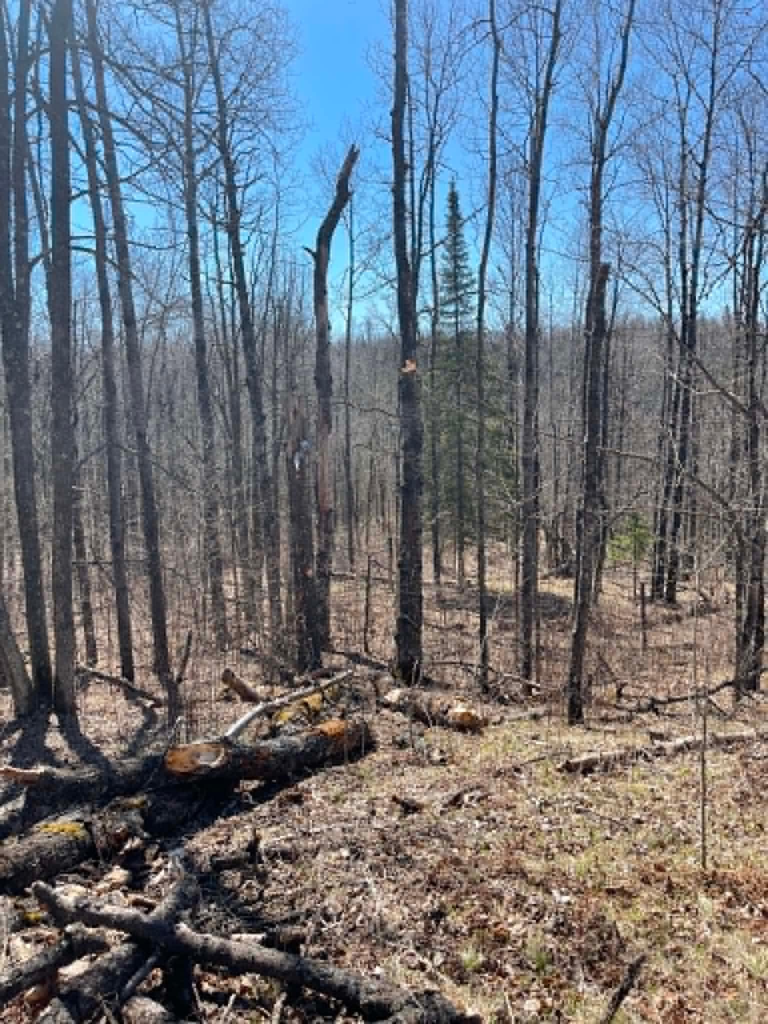NW corner, top of the ridge over the creek.