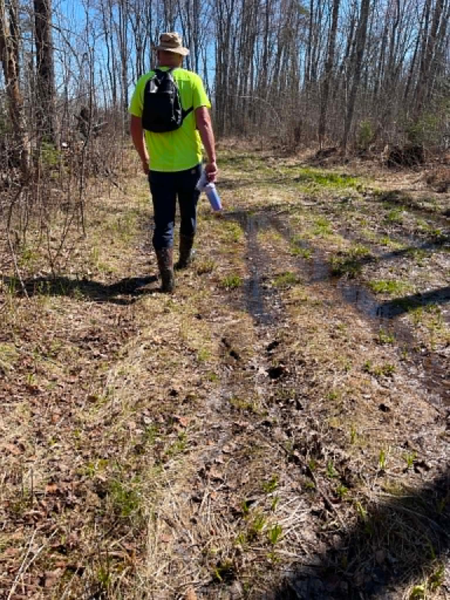 Logging road on the hike in.