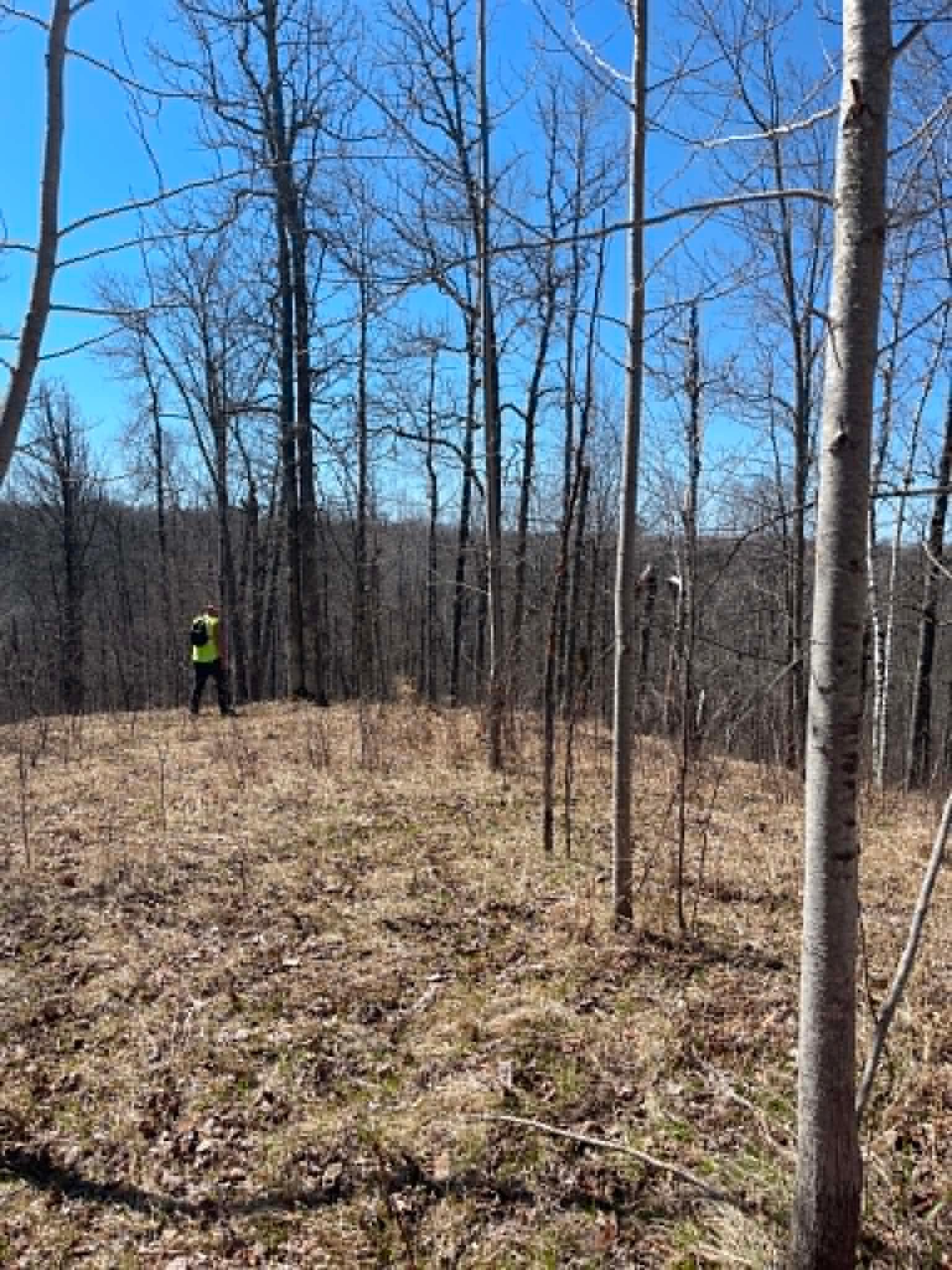 NW corner, going down to the creek.