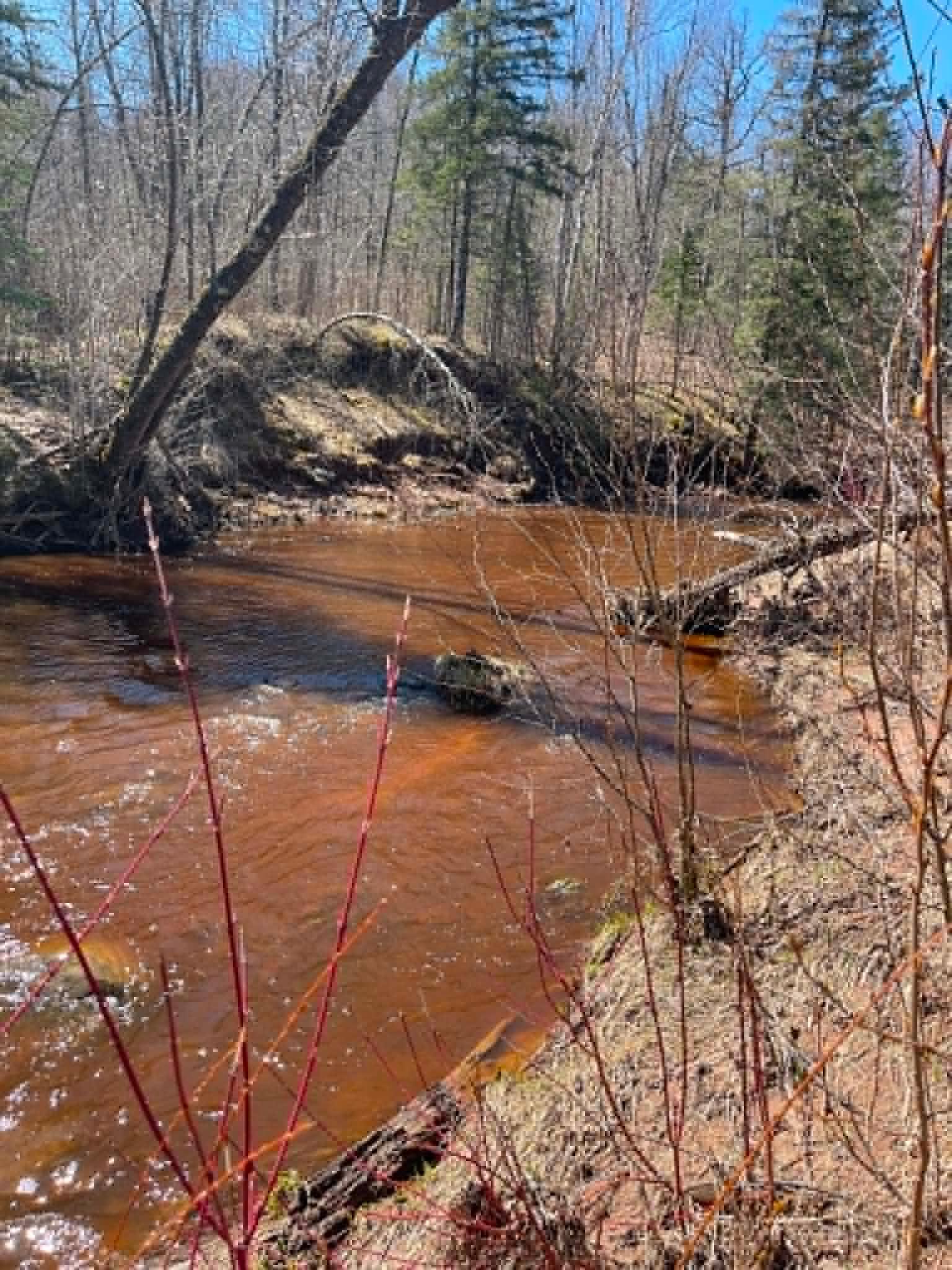 Nemadji Creek meanders thorugh the property.