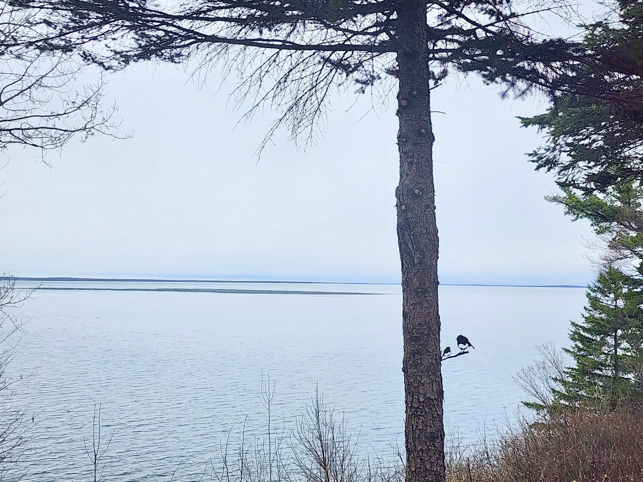 Lake Views