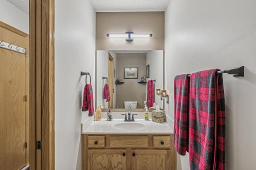 441 Pleasant Lane, Chaska, MN 55318