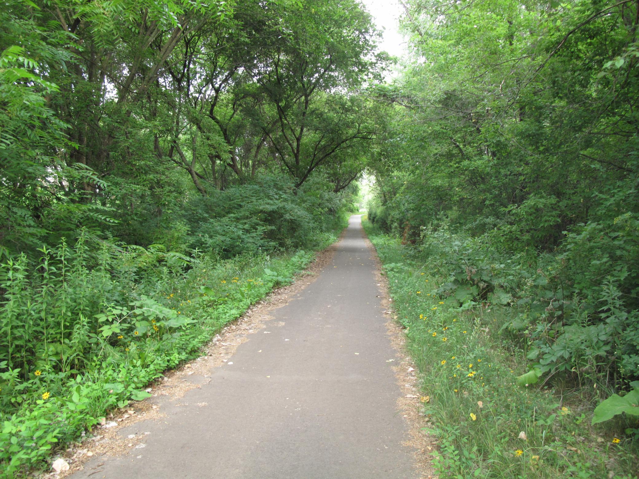 Walking paths close by