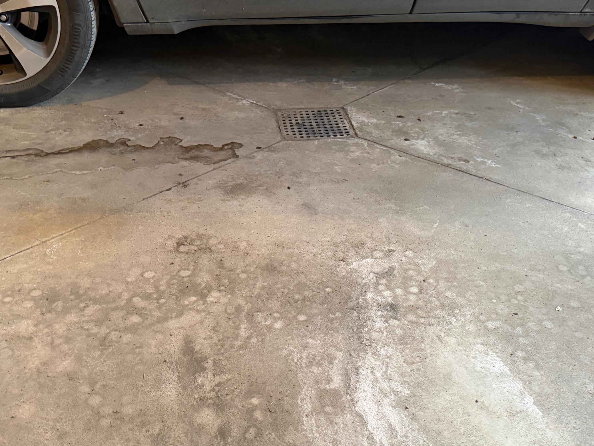 Floor drain in garage