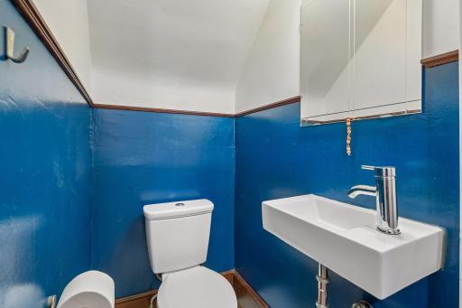 Lower Level bathroom