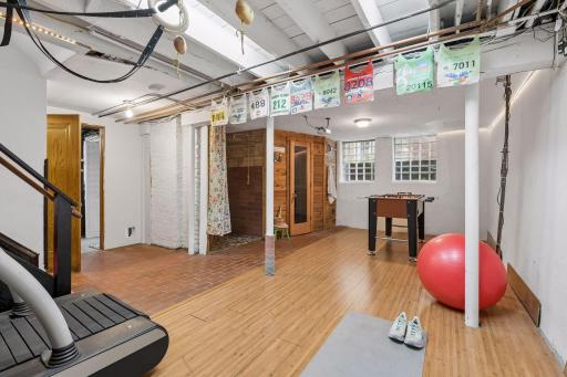 Lower level exercise room, shower and Finnleo (traditional Finnish wet/dry with stones for steam) sauna.