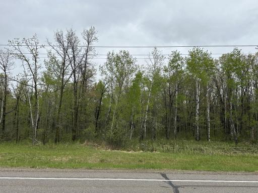 TBD Jewel Road, Little Falls, MN 56345