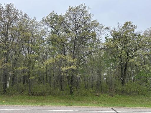 TBD Jewel Road, Little Falls, MN 56345