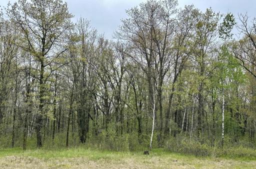 TBD Jewel Road, Little Falls, MN 56345
