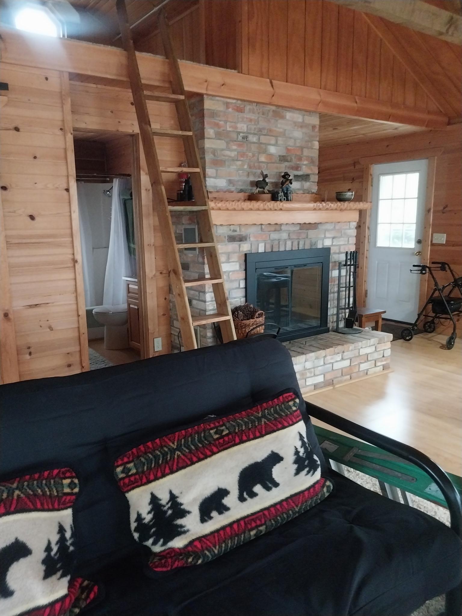 Living room, fireplace, front door