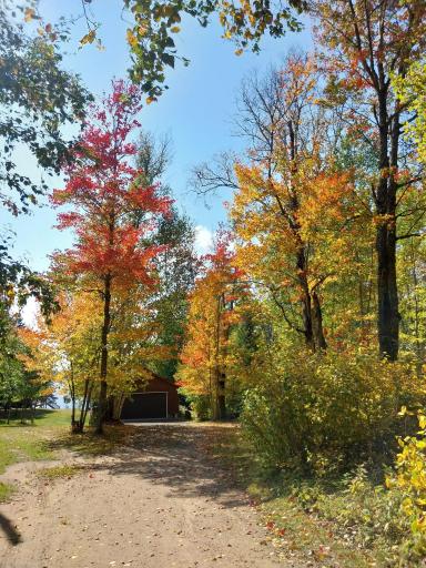 20319 County Road 52, Cook, MN 55723