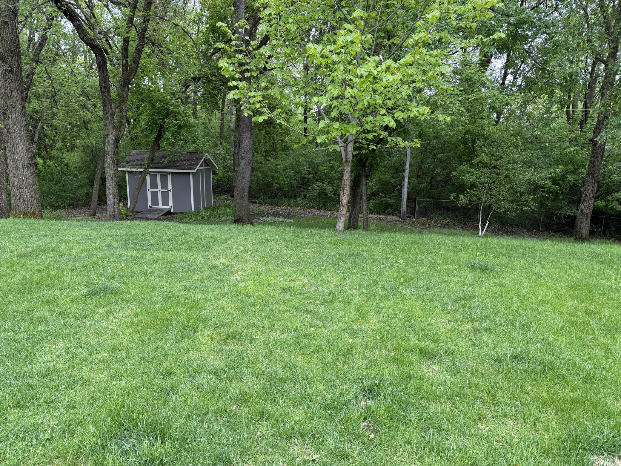 Back Yard.jpg