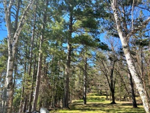 27965 County 7, Park Rapids, MN 56470