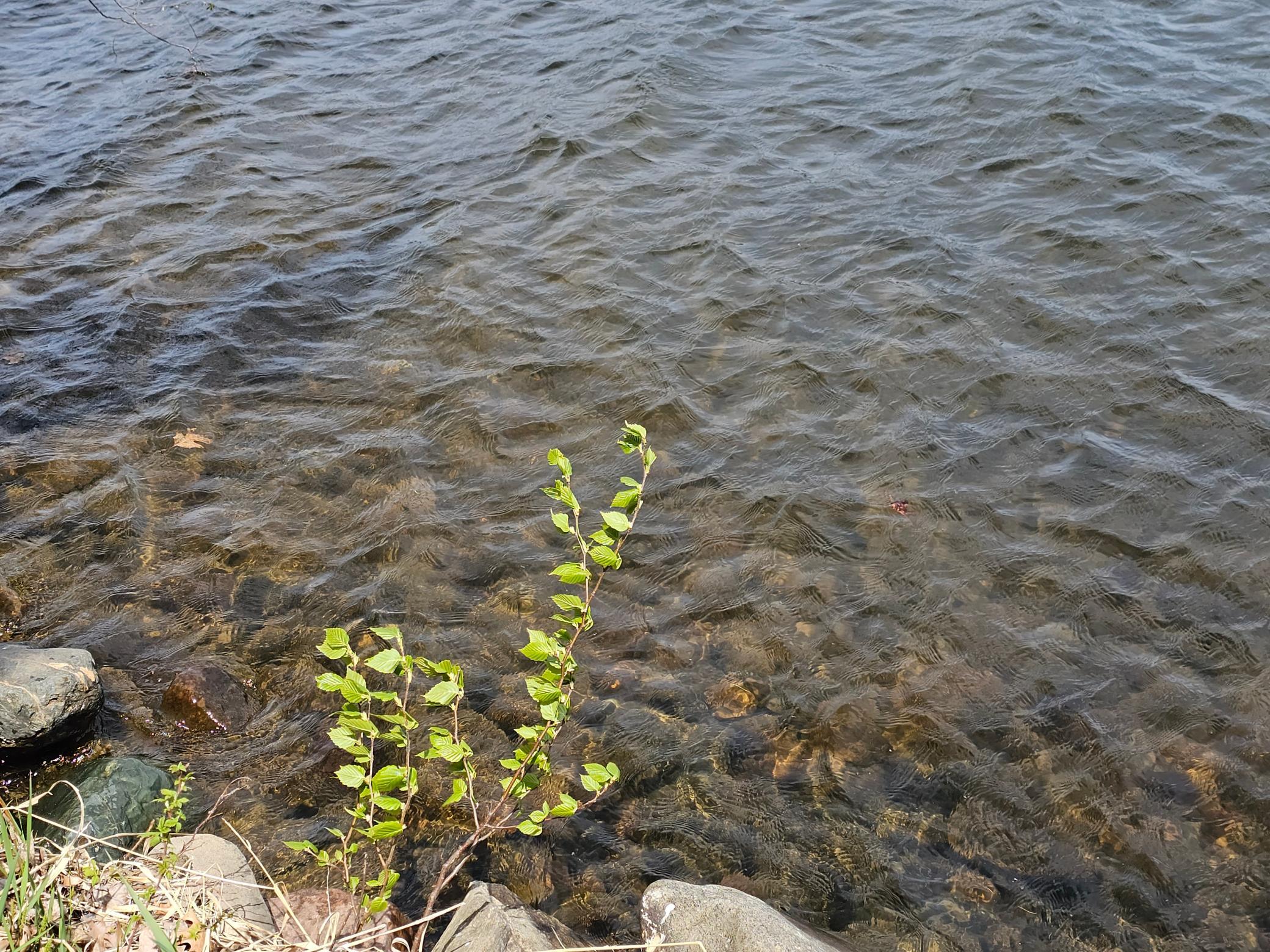 Photo 31