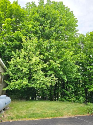 33660 368th Place, Aitkin, MN 56431