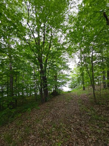 33660 368th Place, Aitkin, MN 56431