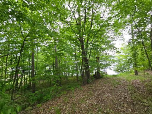 33660 368th Place, Aitkin, MN 56431